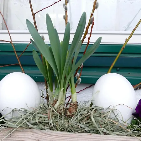 Gourmet-hotel Gruenwald 3* Leogang