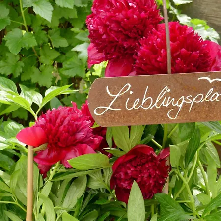 Gourmet-hotel Gruenwald 3* Leogang