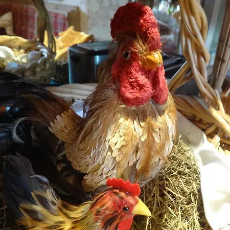 Gourmet-hotel Gruenwald Hotel 3*